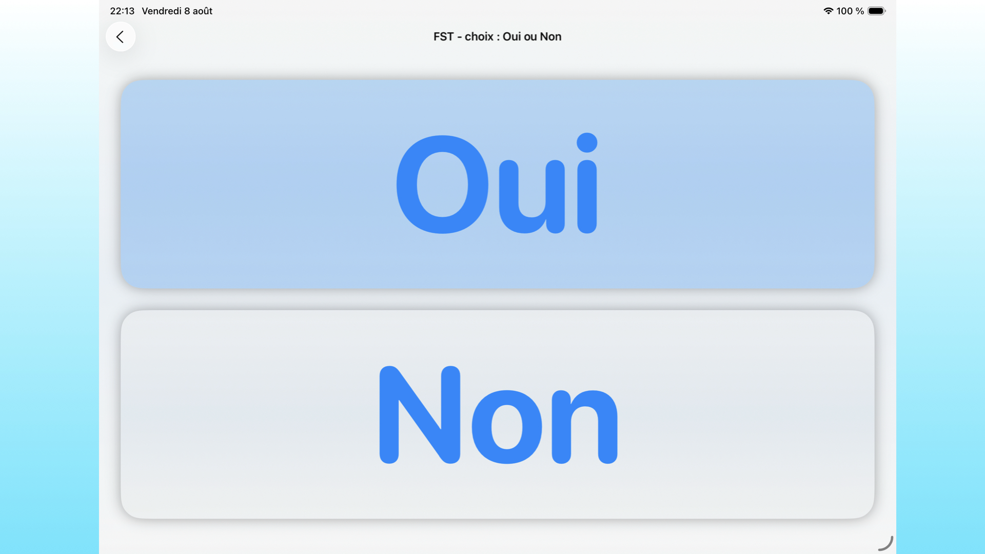 Sur iPad